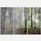 Designart - Green Morning in Forest Panorama - Landscape Canvas Art Print